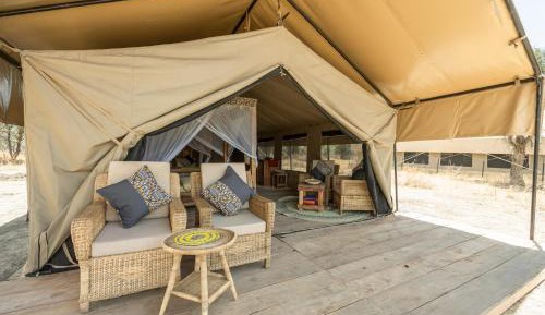 Safari Comfort Family