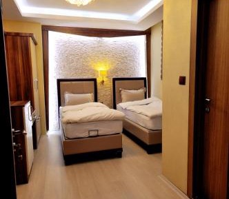 Double or Twin Room with Mountain View