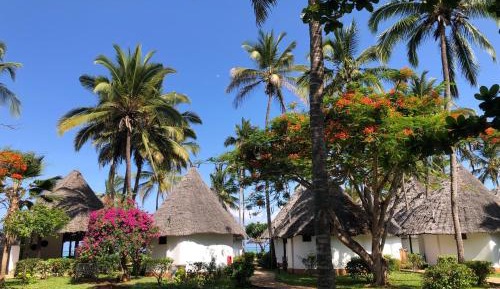  Superior Double Room (Bahari Room)