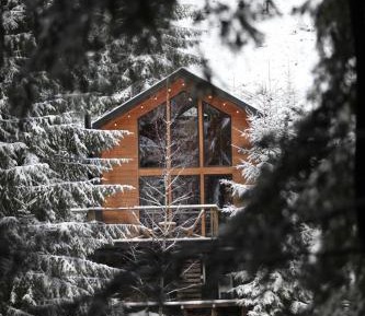 One-Bedroom Chalet