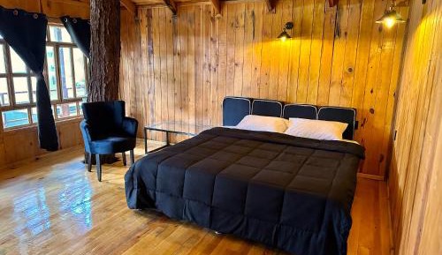 Junior Suite with Terrace