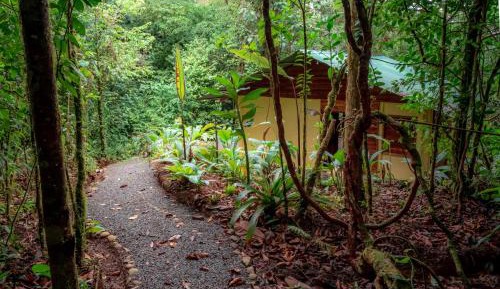 Classic Quadruple Room