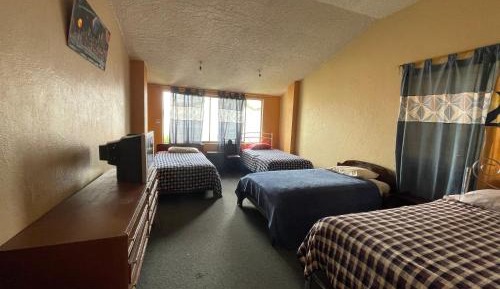 Single Bed in 4-Bed Dormitory Room