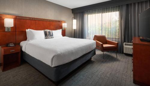 Suite, 1 King, Sofa bed