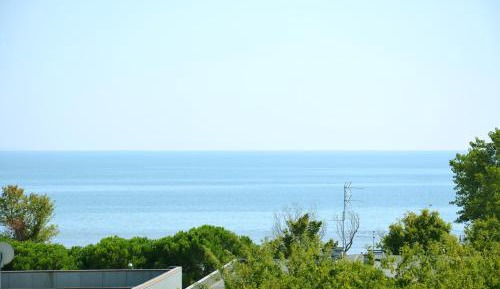 Suite with View