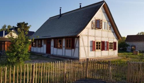 Apartment with Garden View