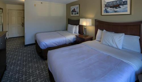 Standard Double Room - Non-Smoking