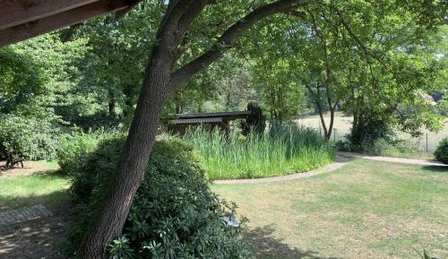 Studio with Garden View
