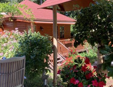 King Studio with Sofa Bed