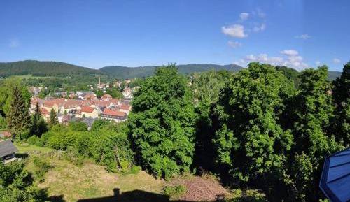 Double Room with Mountain View