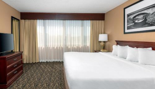 Executive King Suite