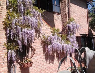 Double or Twin Room with Private Bathroom