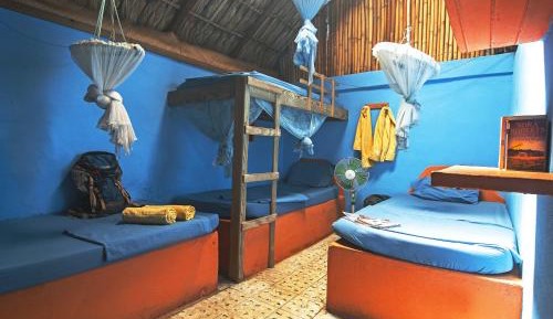 Single Bed in 4-Bed Mixed Dormitory Room