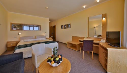 Superior Double Room with Balcony and Sea View