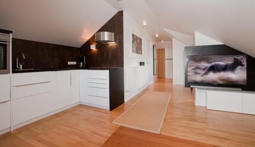 Loft Two-Bedroom Apartment