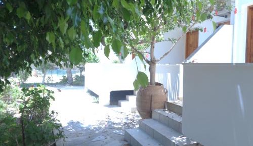 Standard Twin Room with Garden View