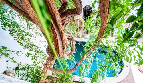 Double / Twin Room or Triple Room