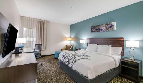 King Room - Accessible/Non Smoking