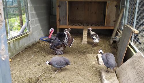 Three-Bedroom Holiday Home 
