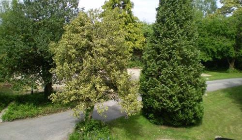 Standard Single Room with Shower