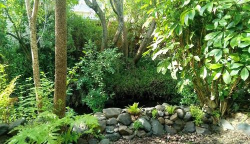 Queen Room with Garden View