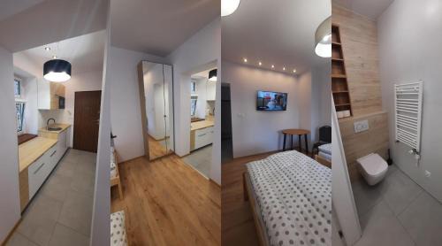 Family Studio