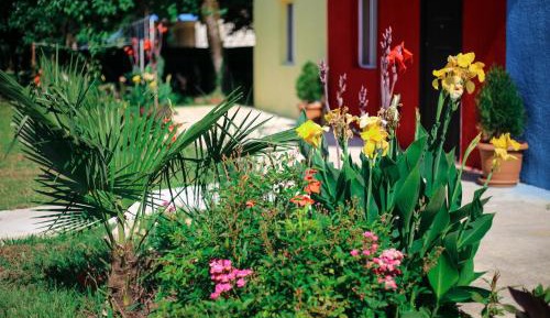 Twin Room with Garden View