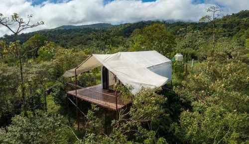 Tent