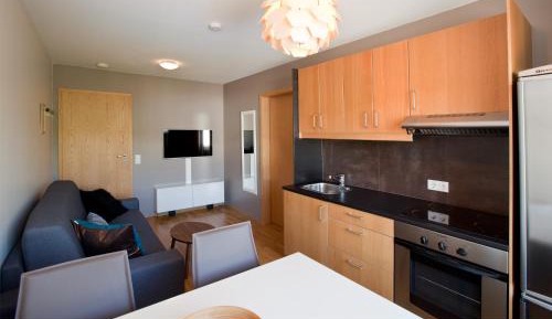 One-Bedroom Apartment with Square View