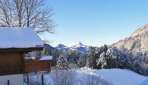 Three-Bedroom Chalet