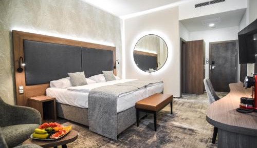 Superior Deluxe Double or Twin Room 