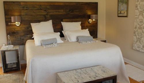 Deluxe Double or Twin Room with River View