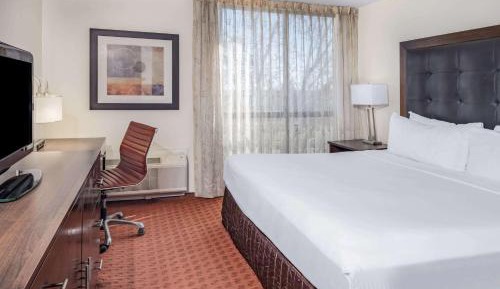 Deluxe King Suite - Non-Smoking