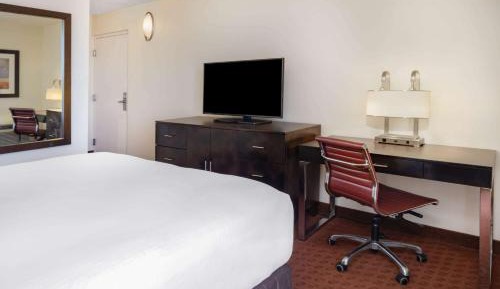 1 Double Bed, Mobility Accessible Room, Roll-In Shower, Non-Smoking