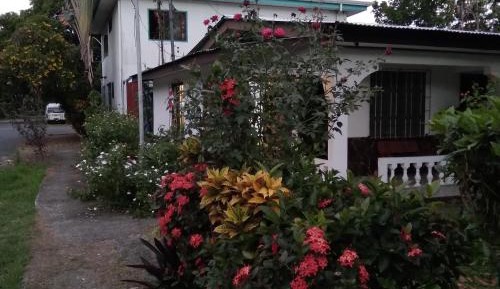 Standard Family Room