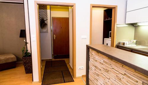 One-Bedroom Apartment with Terrace