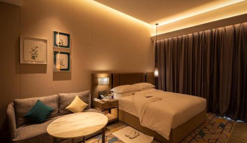 Standard King Room with City View