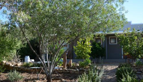Queen Room with Garden View