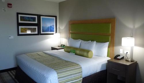 King Room - Disability Access