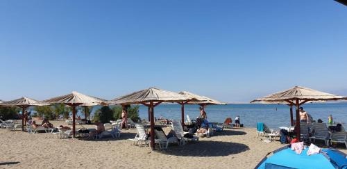 Deluxe Double Room (2 Adults + 1 Child)