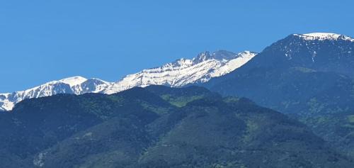 Suite with Mountain View
