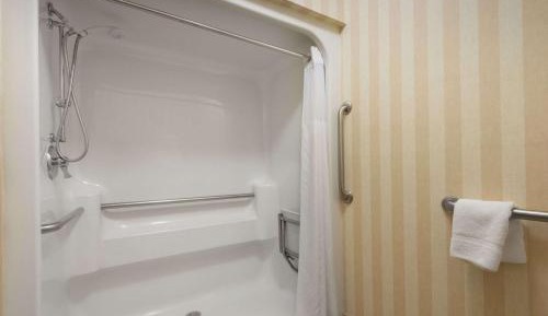 1 Queen Bed, Mobility Accessible Room with Roll-In Shower, Non-Smoking
