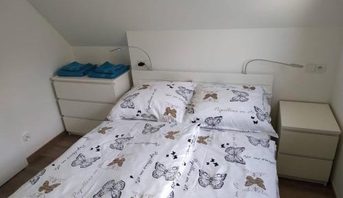 Duplex Apartment