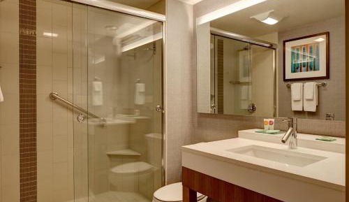 King Room with Sofa Bed and Roll-In Shower - Disability Access