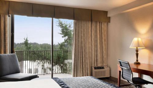 King Studio Suite with City View - Non-Smoking
