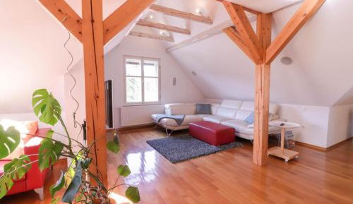 Apartment with Mountain View