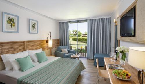 Deluxe Double or Twin Room with Garden View