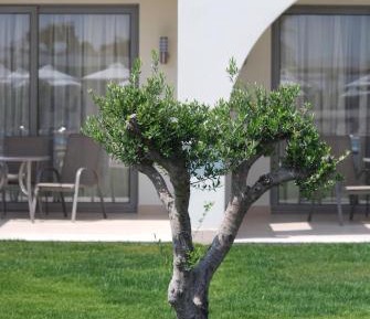 Double Room with Garden View