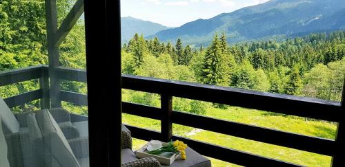 Apartment with Mountain View
