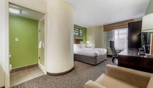 Queen Room - Non-Smoking